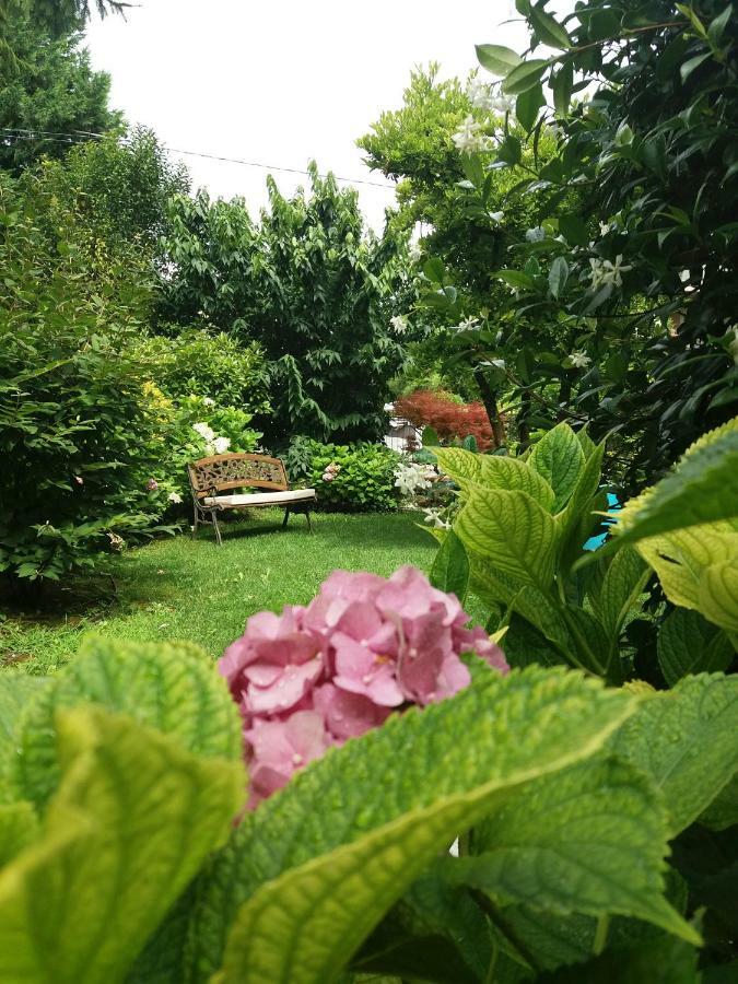 Bed and Breakfast A Casa Di Dora Тревізо Екстер'єр фото